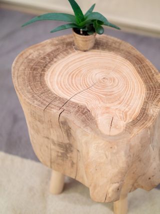 tree stump ideas: tree soul store