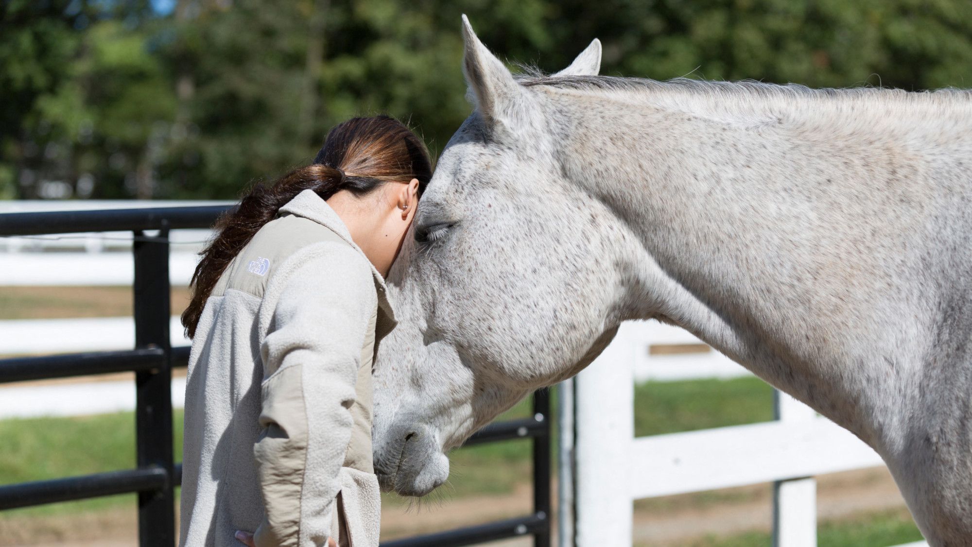 Hopes new standards will benefit ‘unregulated’ equine therapy industry