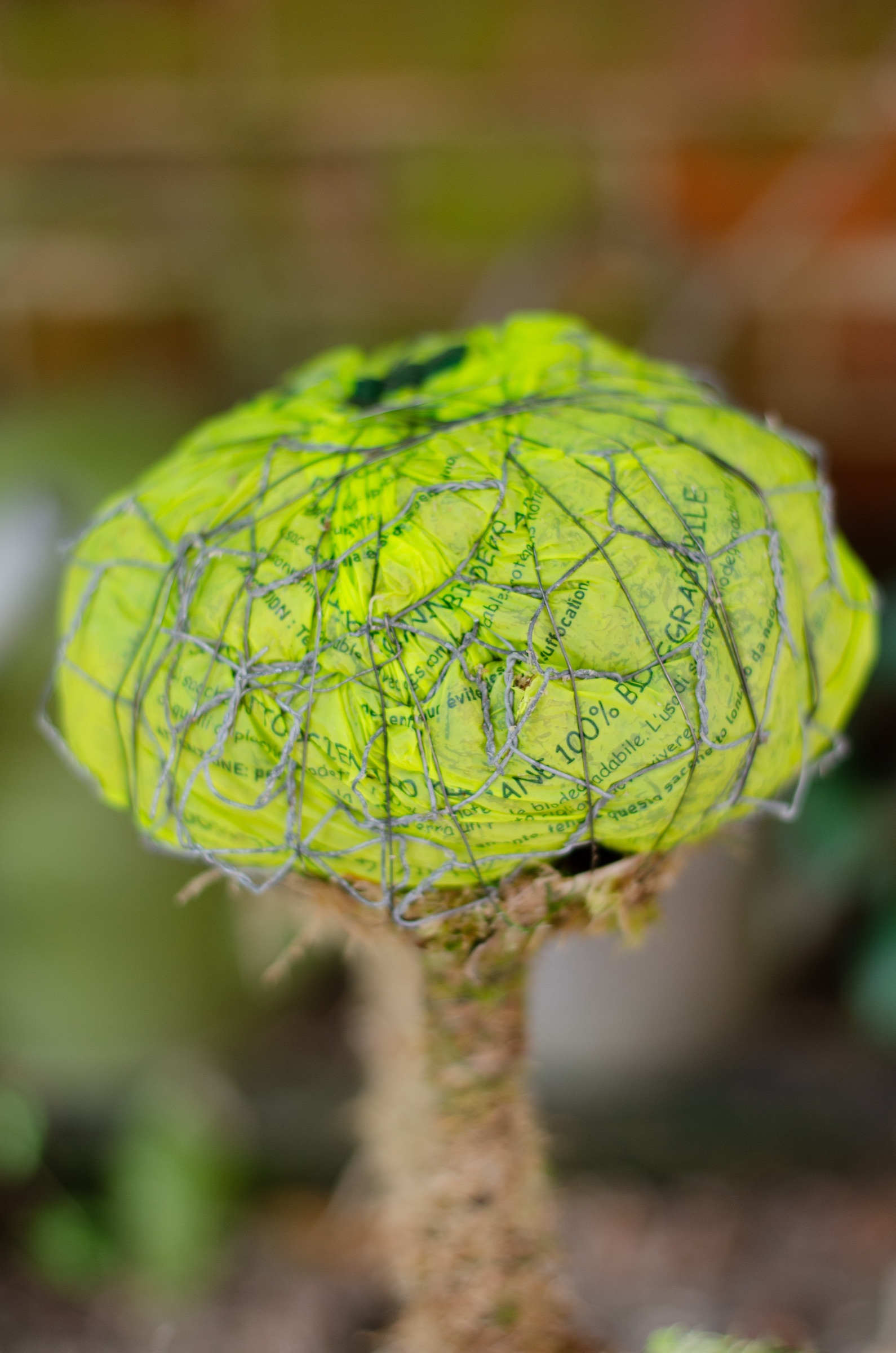 moss covered candelabra flower display