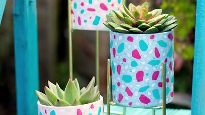 Decorated pots with succulents