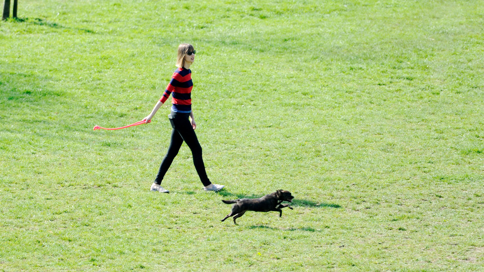 Woman walking dog with ball thrower