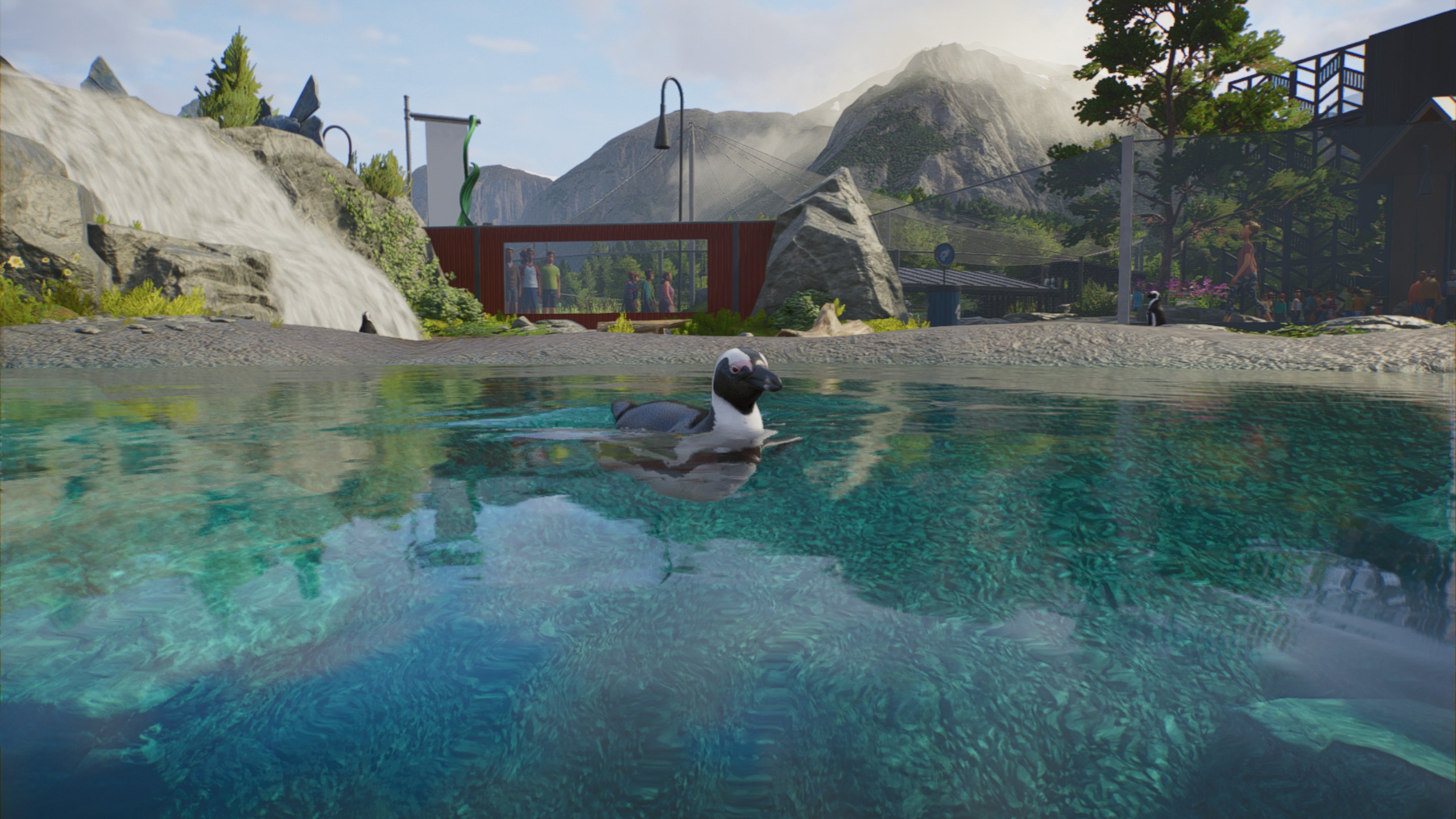 A penguin swimming in a pool in Planet Zoo 2.