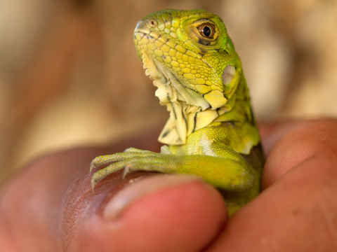 Xbox Live is back up after major outage — here’s what happened | Tom's