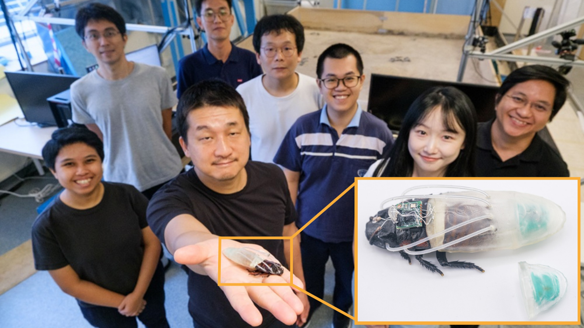 Researchers hold up a cyborg cockroach wearing a newly developed diving suit.