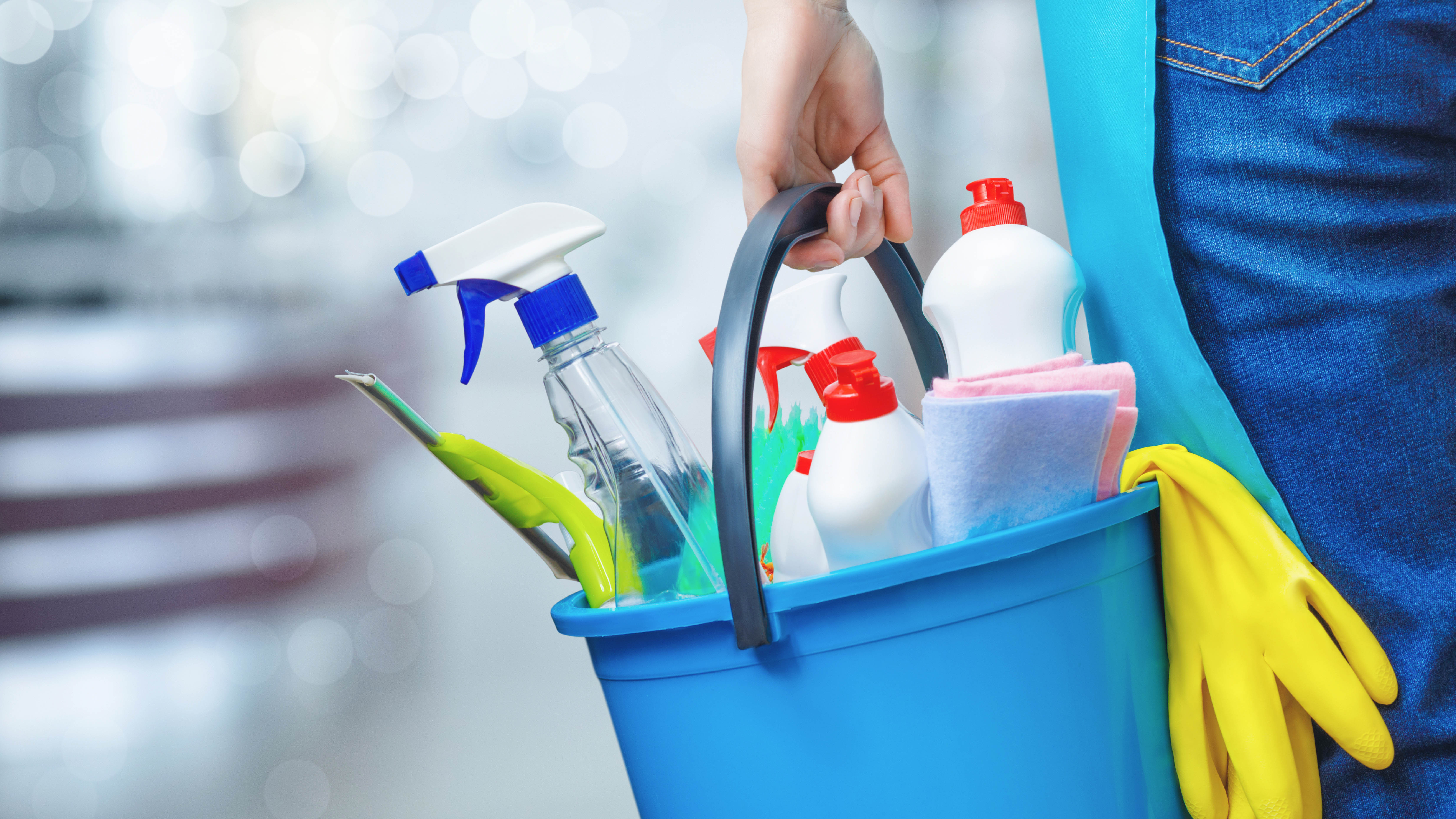 Cleaning equipment being carried in a bucket including a squeegee, cloths and spray bottles