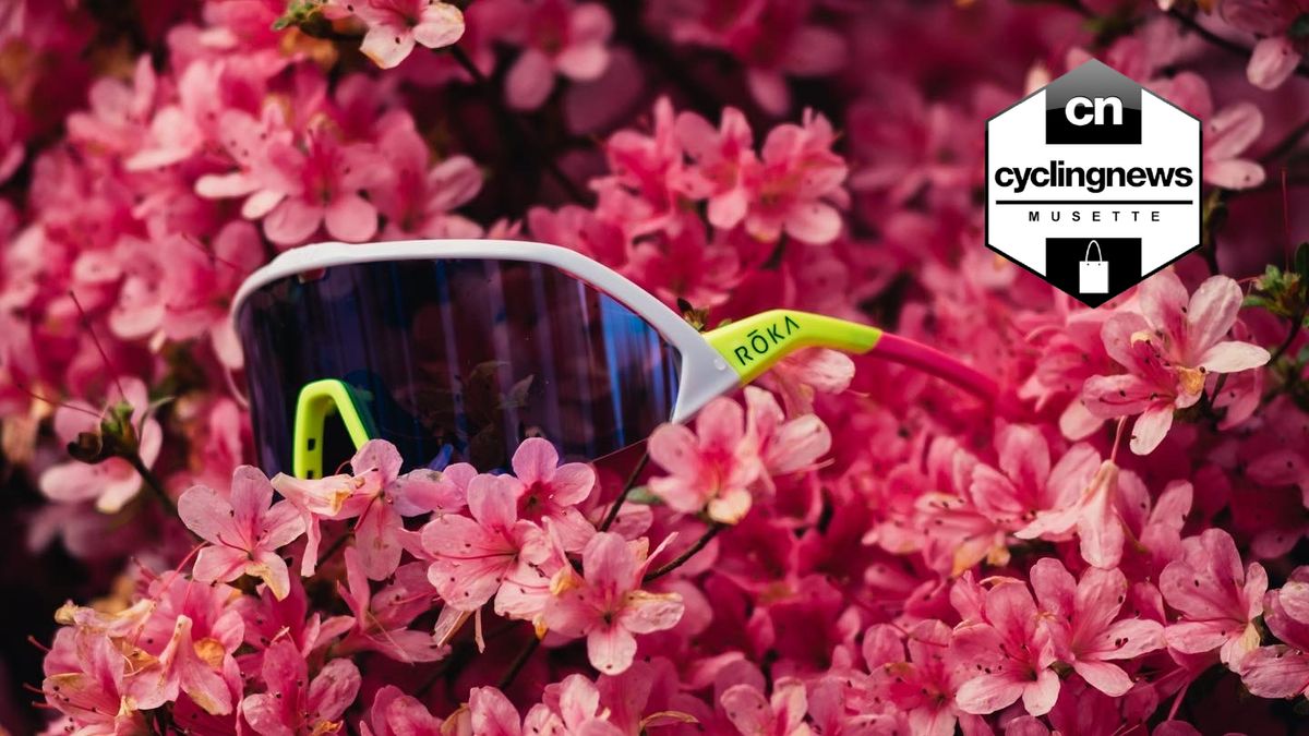 A brightly coloured pair of sunglasses rests in a pink flowering bush