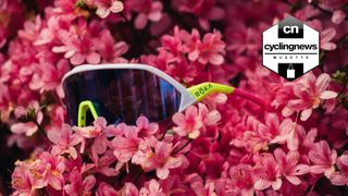 A brightly coloured pair of sunglasses rests in a pink flowering bush