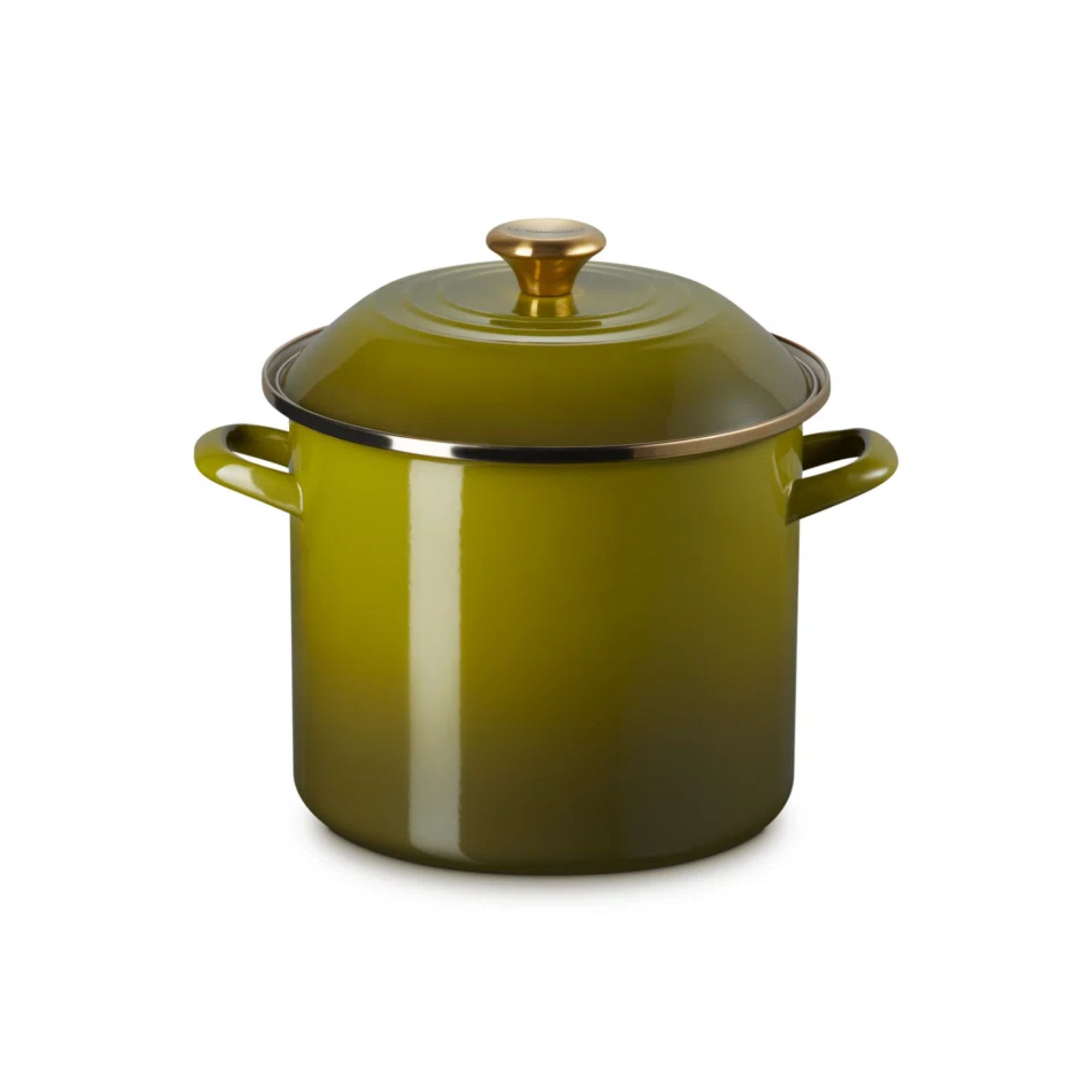 Olive green Le Creuset stock pot