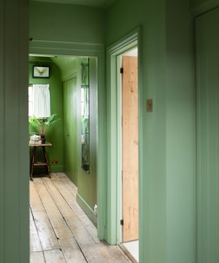 green colour drenched hallway