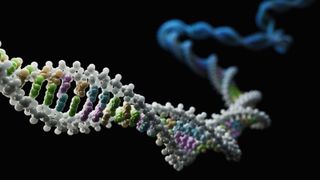 a 3d illustration of a DNA strand