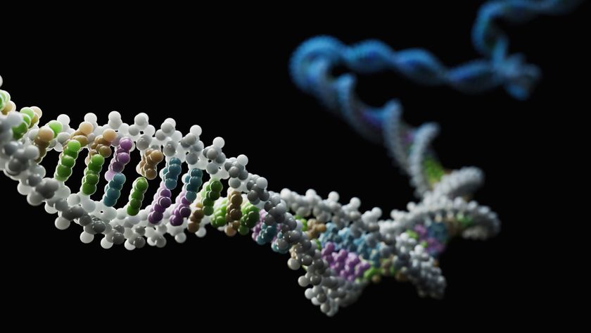 a 3d illustration of a DNA strand