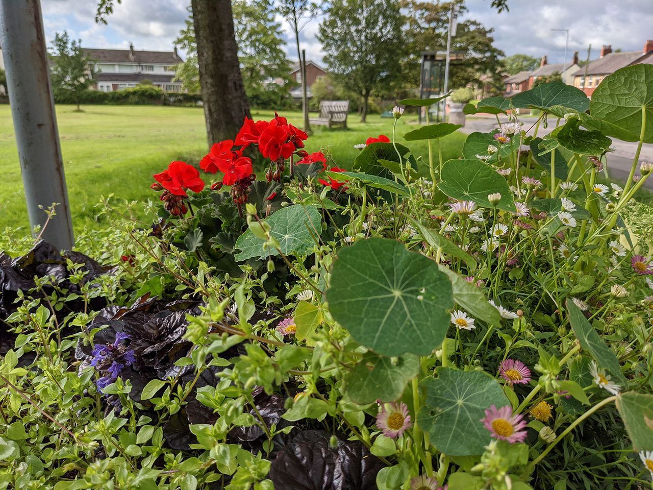 Google Pixel 4a camera sample