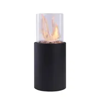 Ebern Designs Lamariah Metal Bio-Ethanol Tabletop Fireplace | was $49.99, now $39.99 at Wayfair (save 21%)