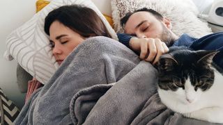 Couple Sleeping With Cat On Bed At Home