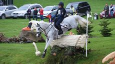 Vittoria Panizzon riding Borough Pennyz at Bramham 2016