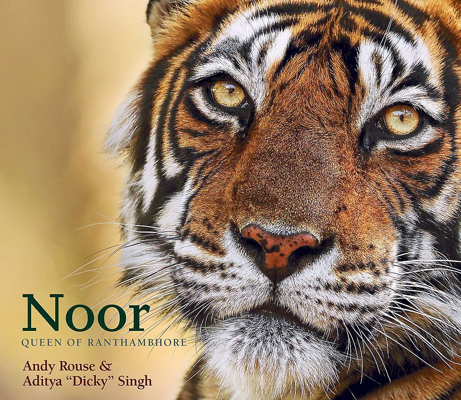 Noor: Queen of Ranthambhore features 200 images of Indian tigers in Rajasthan