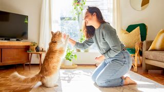 Woman teaching her cat a trick