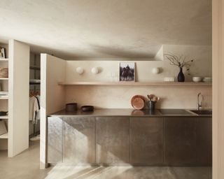 minimalist kitchen with plaster walls and stainless steel cabinets