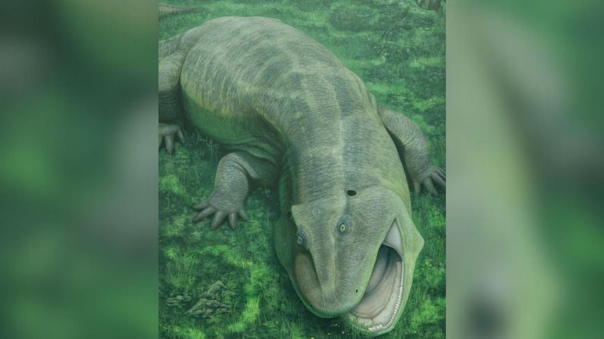 Prehistoric water-dwelling weirdo with sideways teeth and a twisted jaw was already a 'living fossil' 275 million years ago
