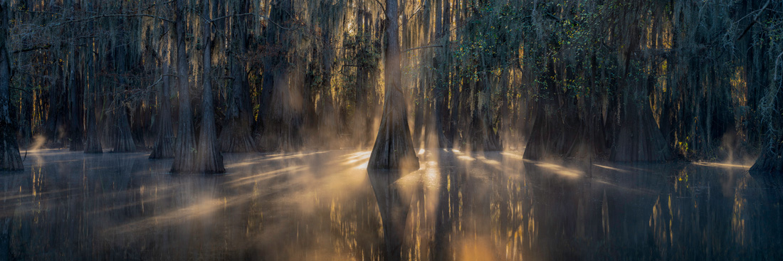 The Epson International Pano Awards