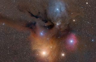 Rho Ophiuchi Nebula O'Donoghue Night Sky Photo