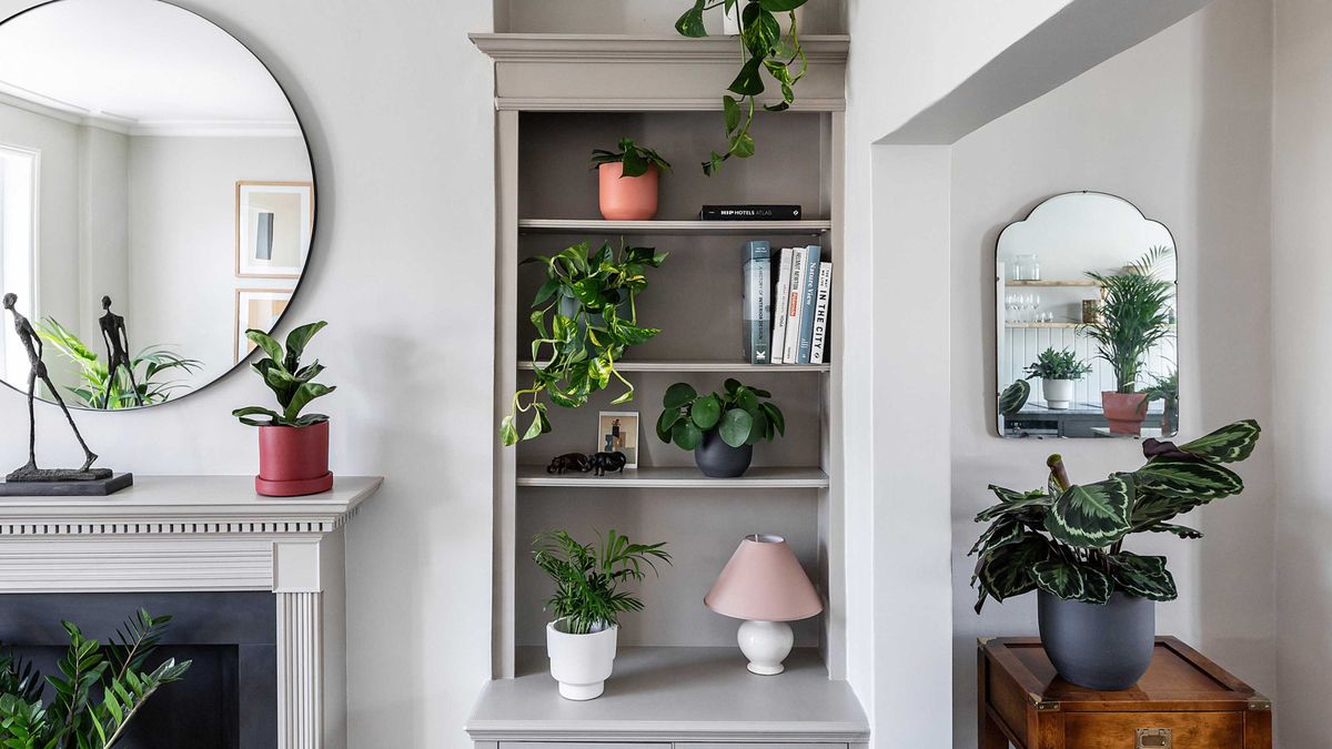 Meet the kalanchoe - the must-have houseplant of 2022