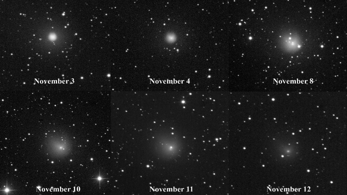 a six-panel view of a comet showing it getting brighter and dimmer over time. the dates november 3, november 4, november 8, november 10, november 11 and november 12 are underneath the six panels