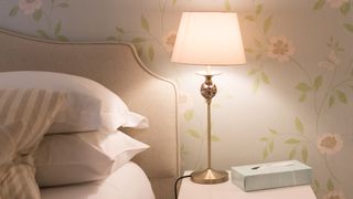 The 9 dirtiest items in your home - lamp sat on bedside table