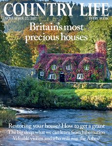 Country Life November 22 2017