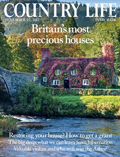 Country Life November 22 2017