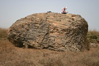 A researcher chisels out a rock sample for dating. Scientists have found evidence that a tsunami triggered by a volcanic collapse swept huge boulders like this one into the highlands of the island of Santiago.