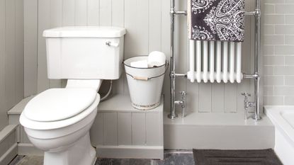 Neutral bathroom with white toilet and flush