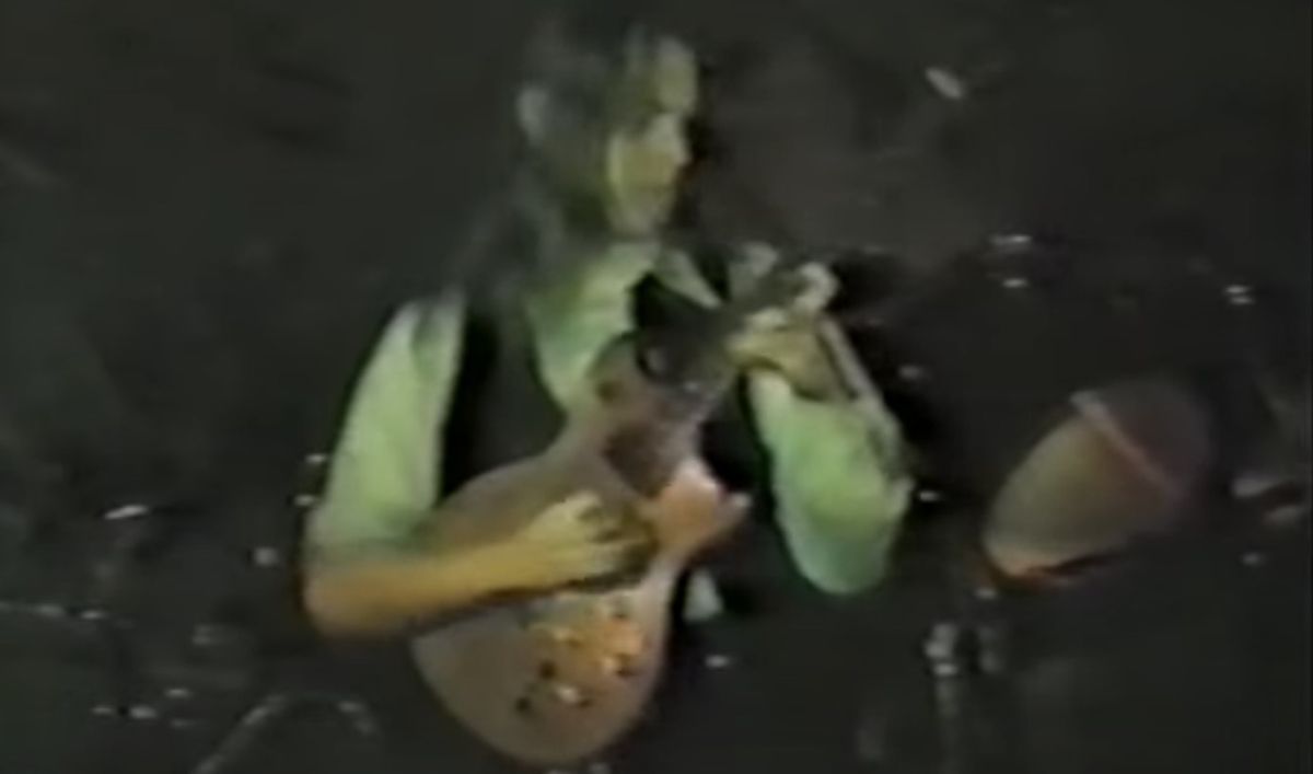 Watch a 16-year-old Shawn Lane blow minds with warp-speed