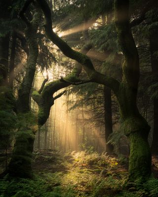 Landscape Photographer of the Year