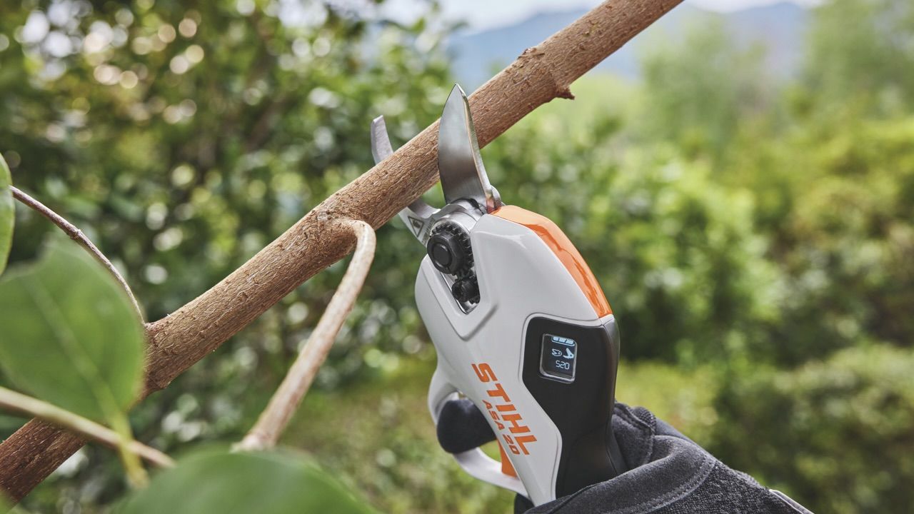 ASA 20 battery-powered secateurs