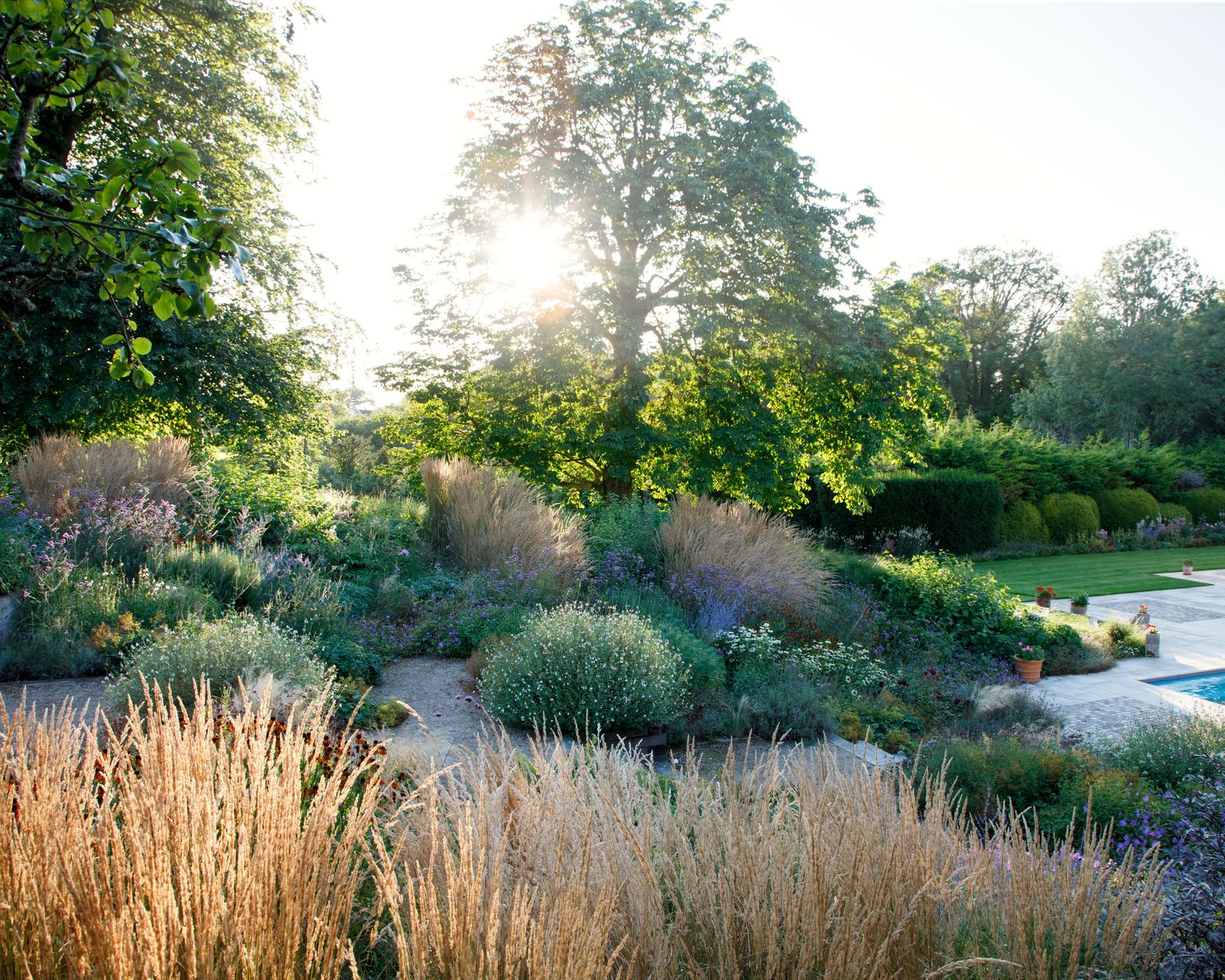 Sloped backyard ideas: 15 design tips for a terraced garden | Homes ...