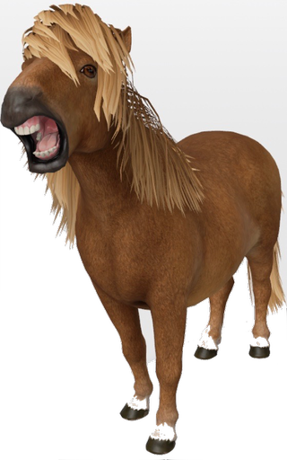 Shetland Pony Google Search 3D model