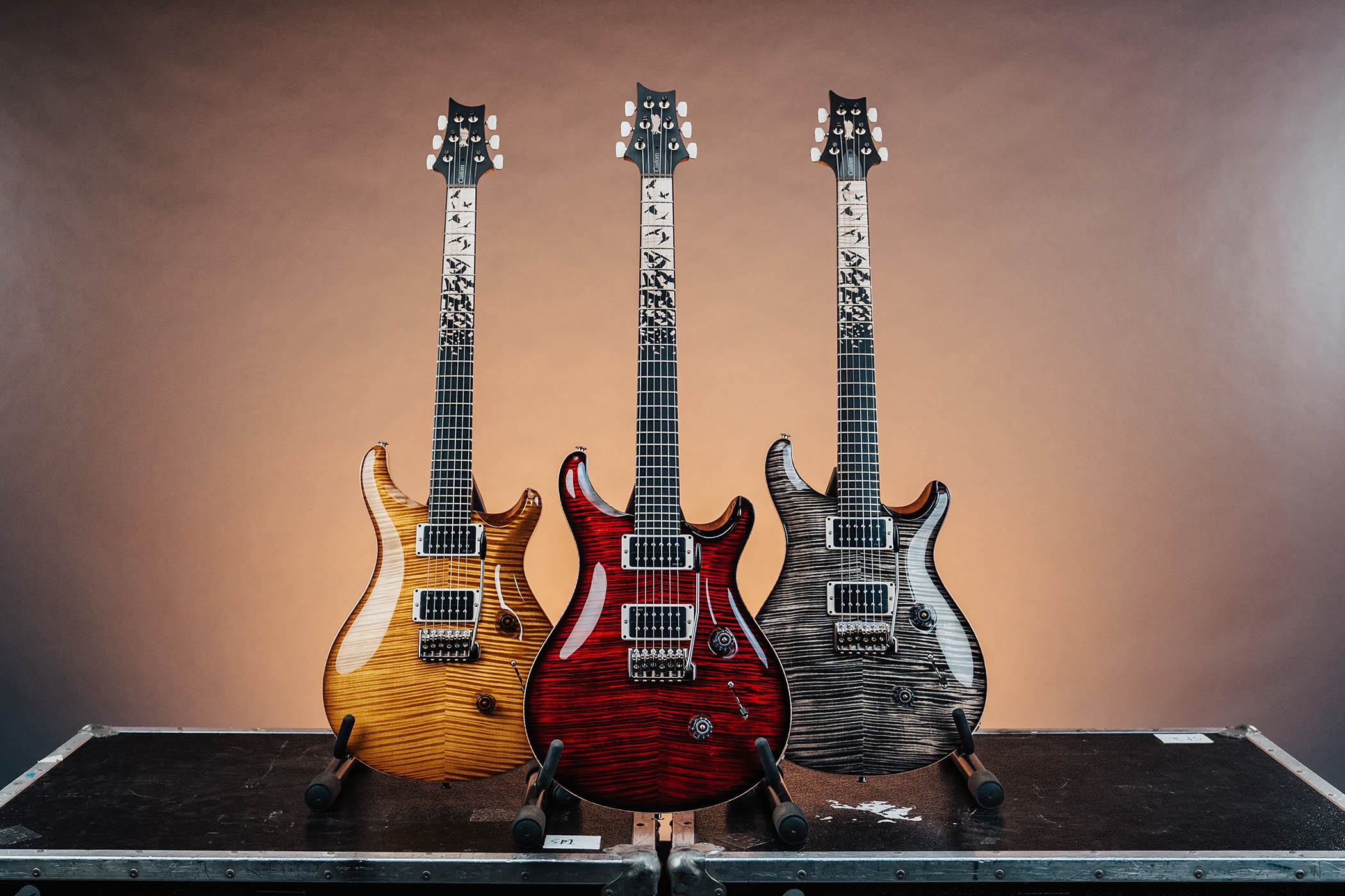 PRS Custom 24 Birds of a Feather Limited Edition