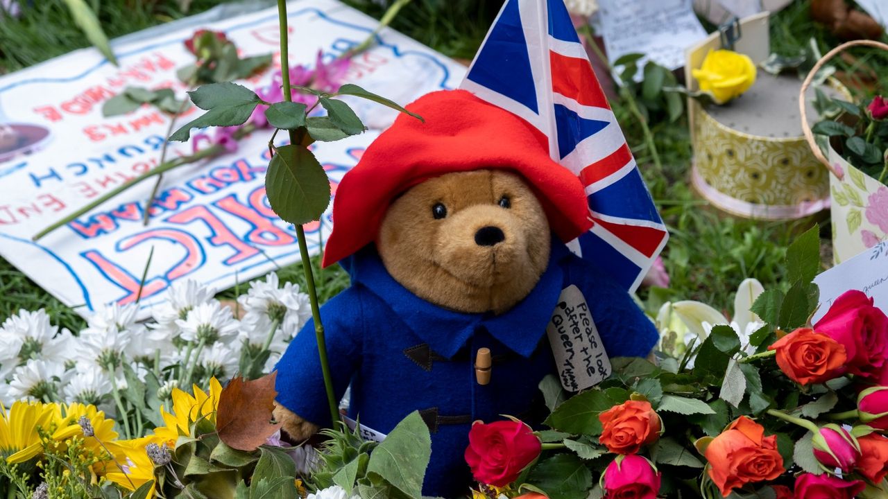 The Paddington Bear photoshoot has been hailed as the sweetest thing 