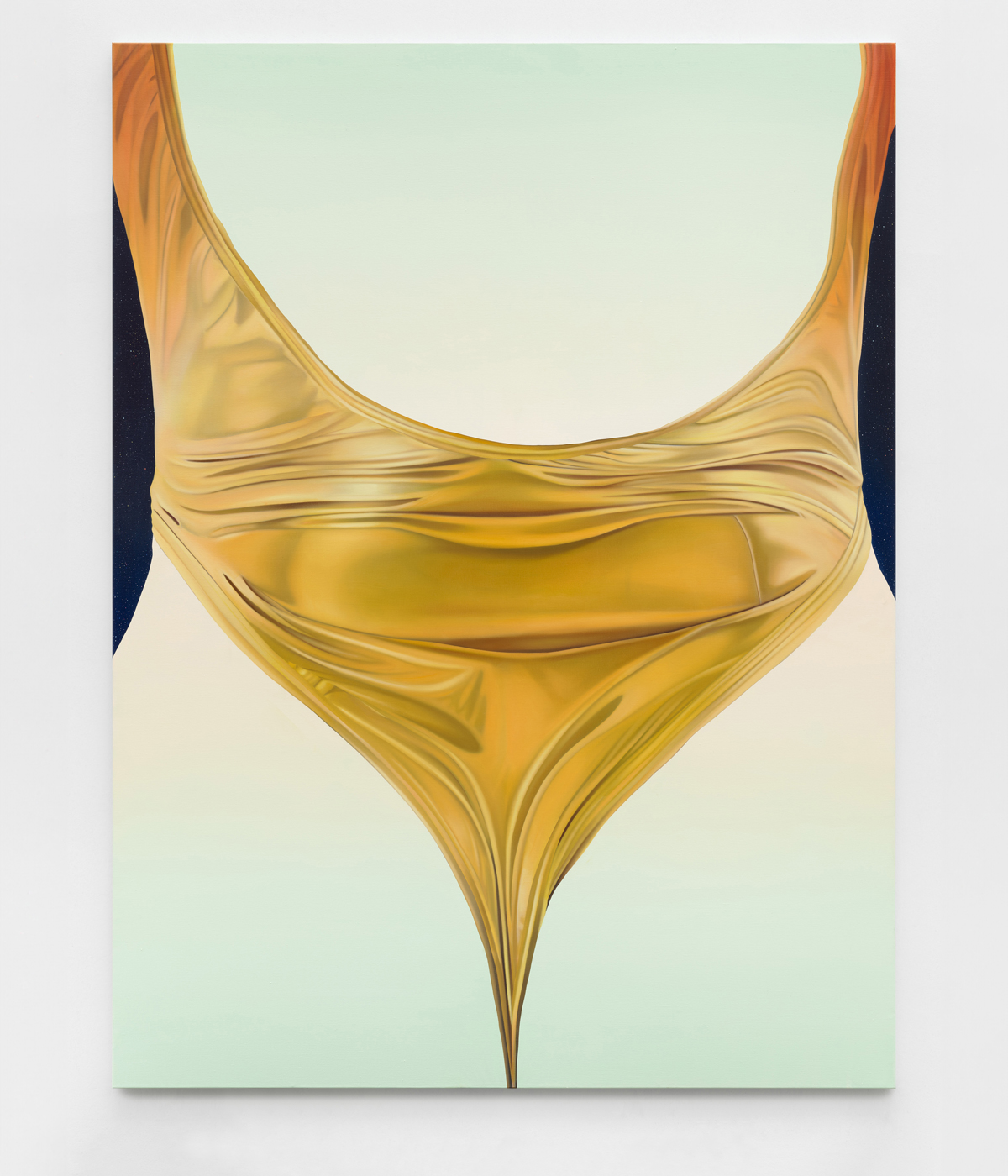 Abstract artwork resembling female form