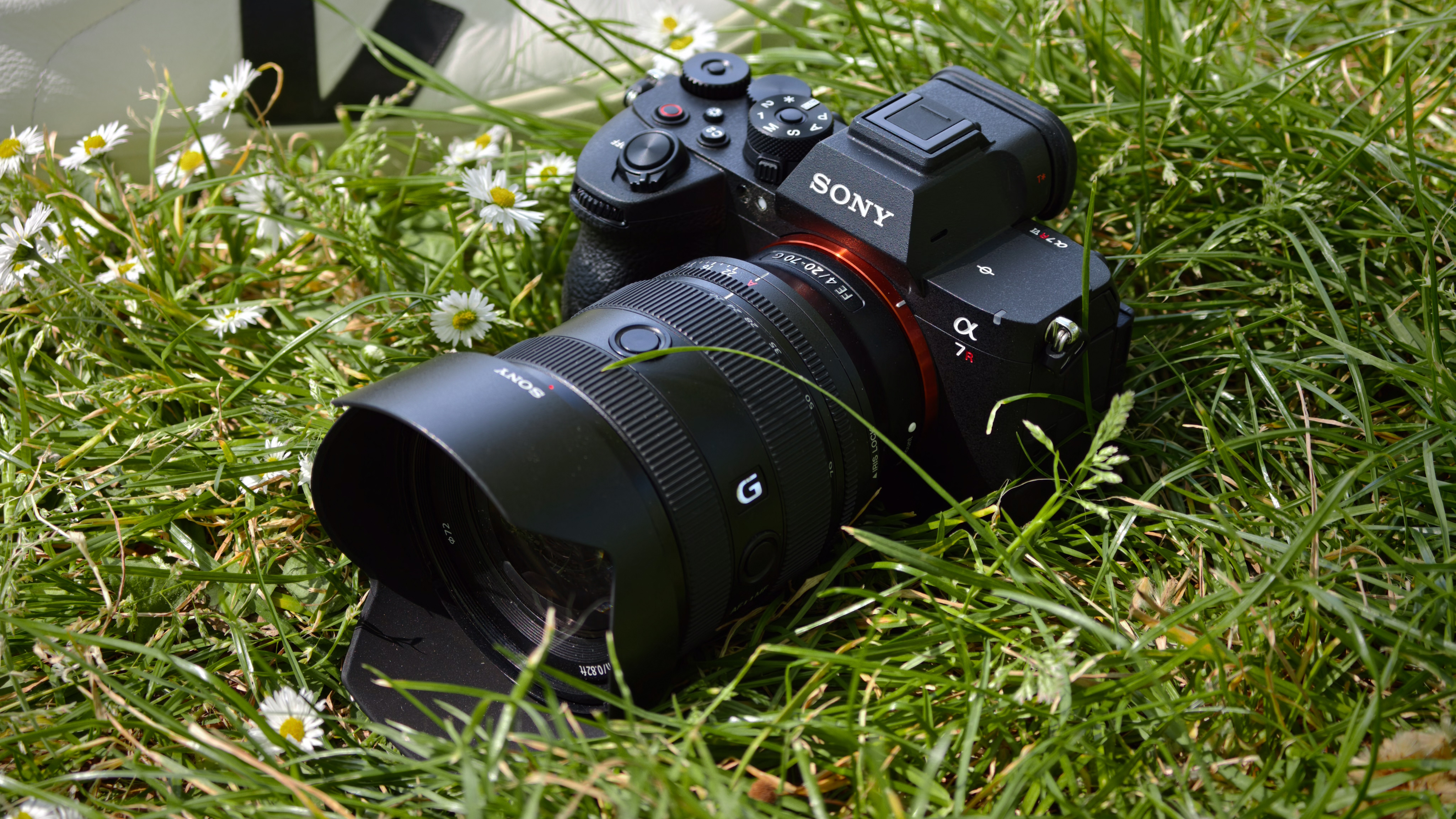 Sony A7R VI with Sony FE 20-70mm G lens lying in grass and daisies.