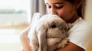 Girl holding a grey rabbit