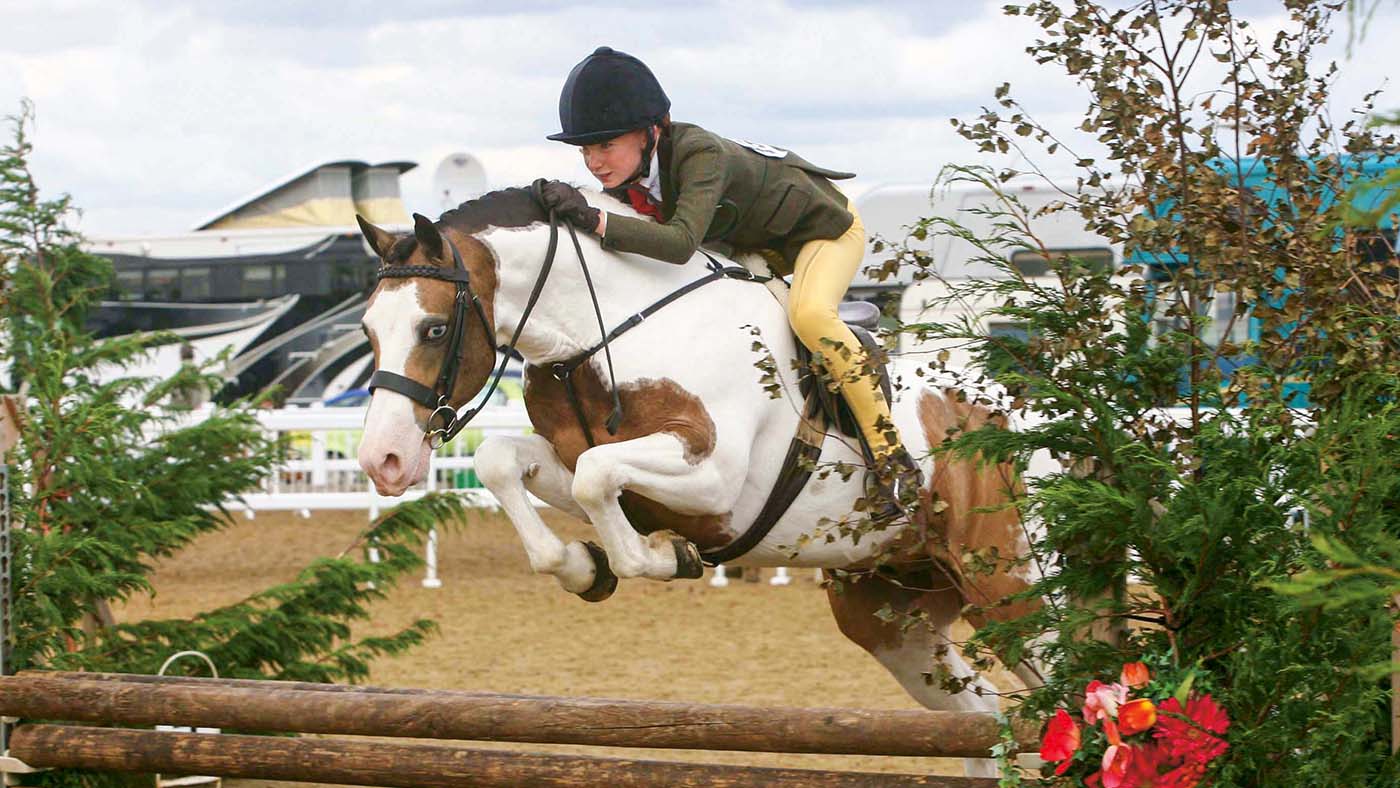 BSPS working hunter pony