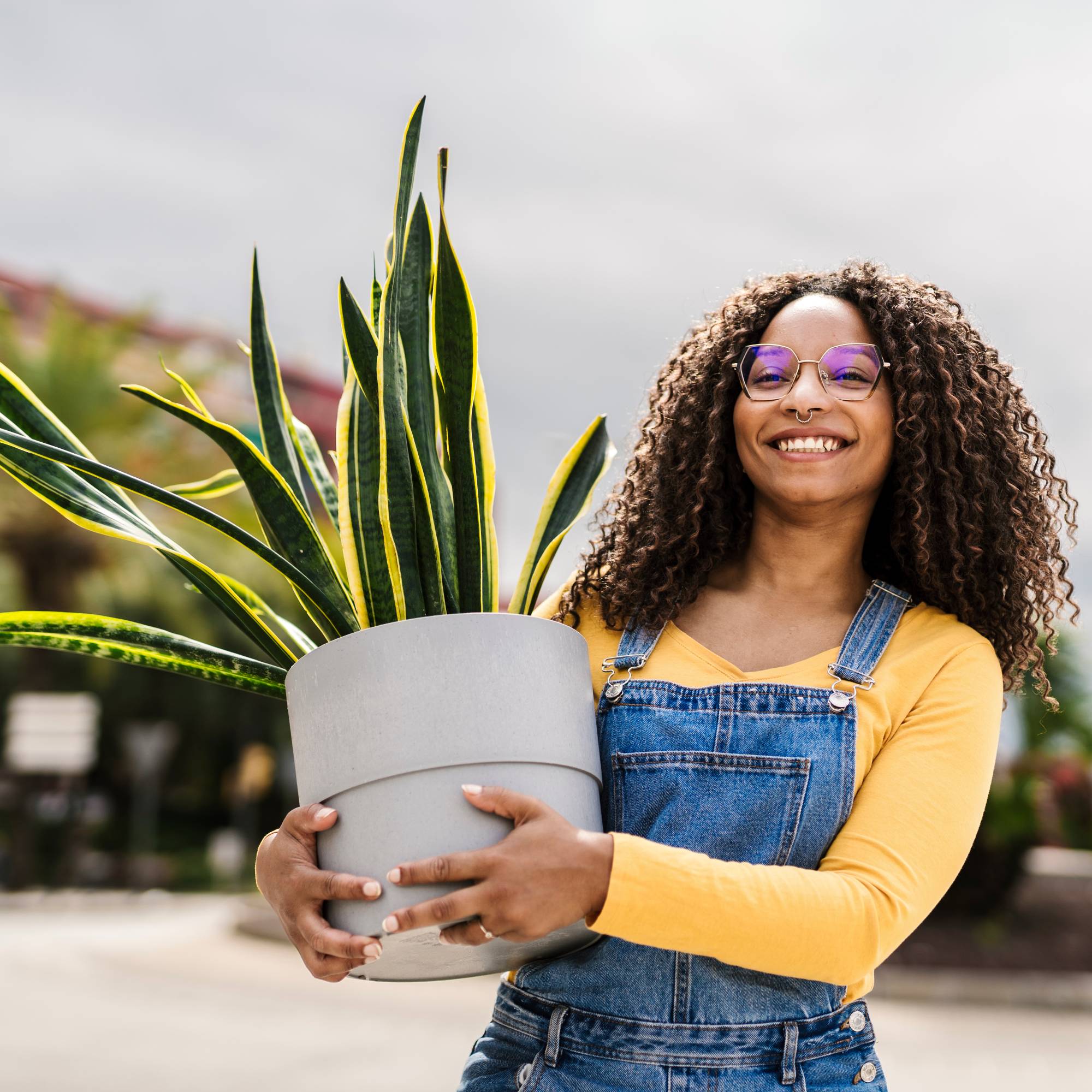 A smiling woman carrying a potted snake plant outdoors