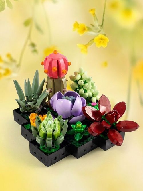 LEGO Botanicals Succulents