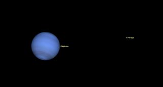 a hazy neptune hangs in black space on the left. on the right, a tiny world is labeled Triton.