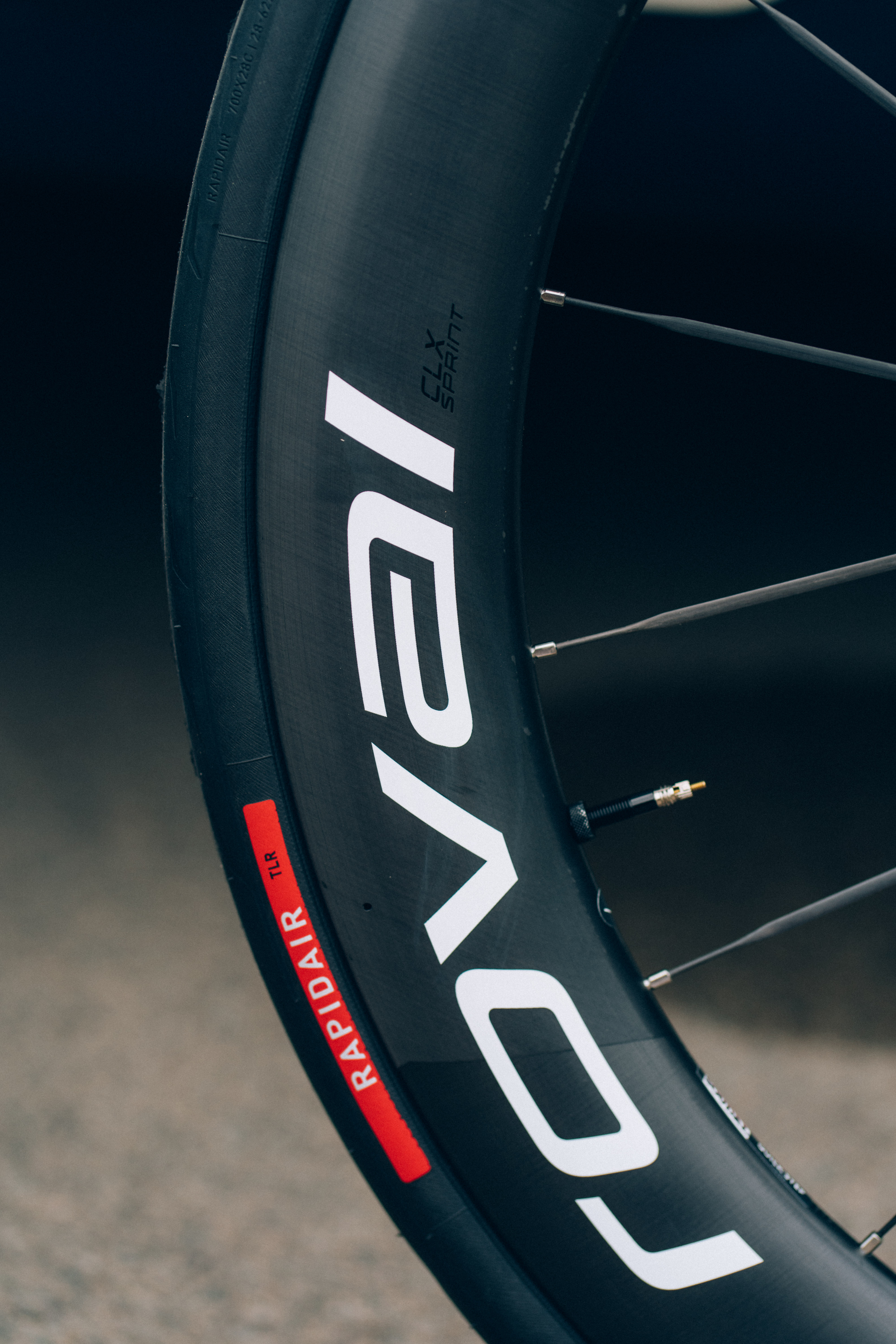 Tim Merlier's Bike