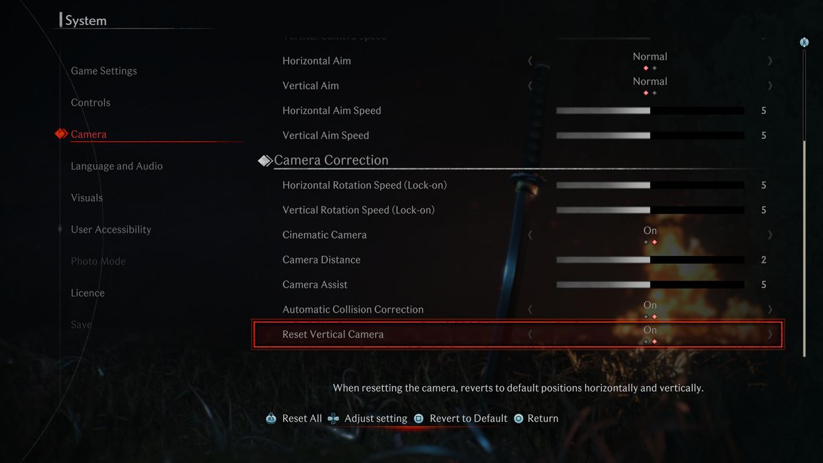 Accessibility menus in Rise of the Ronin