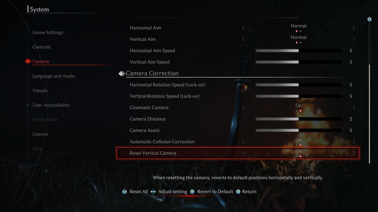 Accessibility menus in Rise of the Ronin