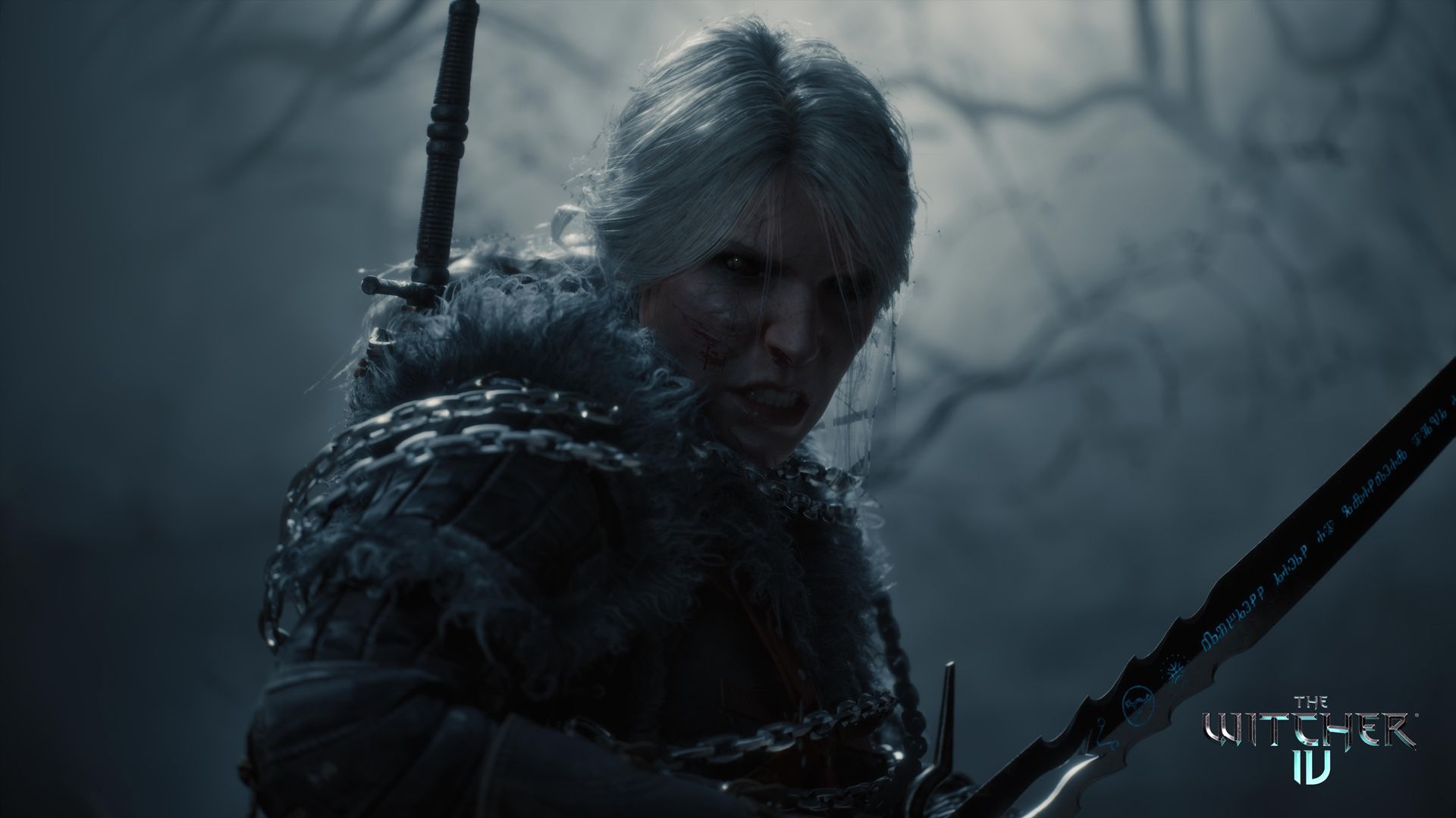 Witcher 3 devs "knew it from the get go” that they wanted Ciri as ...